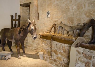 burro-establo-museo-bustos