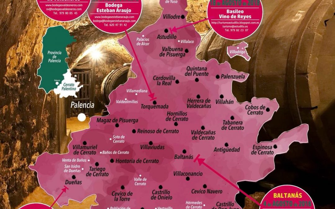 Descubre las Bodegas del Cerrato Palentino