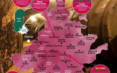 Descubre las Bodegas del Cerrato Palentino